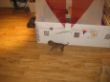 Bild 930.jpg