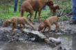 Ausflug Treffen 586.jpg