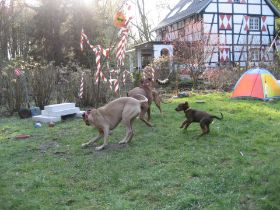 Ausflug Treffen 1741.jpg