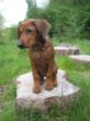 My Ruthy 110.jpg
