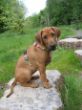 My Ruthy 112.jpg