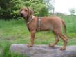My Ruthy 125.jpg
