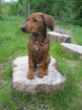 My Ruthy 109.jpg
