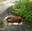 image015.jpg